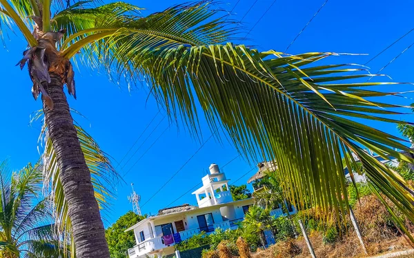 Zicatela Puerto Escondido Oaxaca Meksika 'daki palmiye ağaçları arasında cennetteki oteller ve binalar.