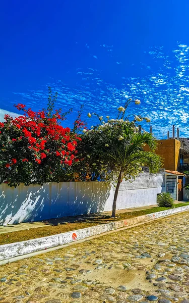 Typische Kleurrijke Zonnige Paradijselijke Straat Met Huizen Appartementen Hotels Resort — Stockfoto