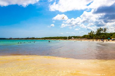 Tropical caribbean beach landscape panorama with clear turquoise blue water in Playa del Carmen Mexico.