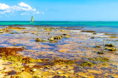 Turquoise green blue water with stones rocks corals at beach in Playa del Carmen Quintana Roo Mexico.