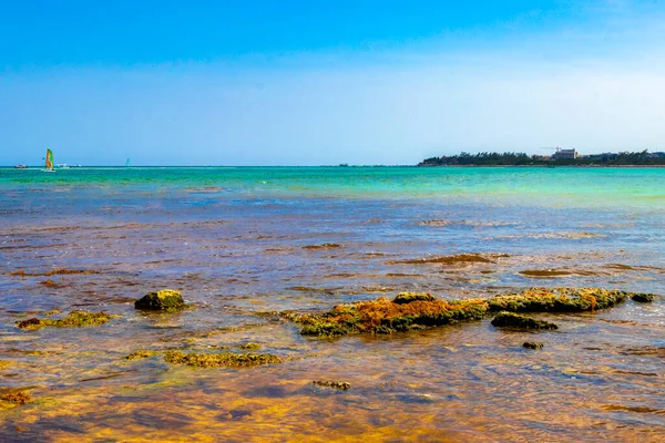 Turquoise Green Blue Water Stones Rocks Corals Beach Playa Del — Stockfoto