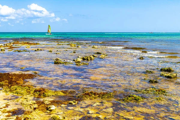 Turquoise green blue water with stones rocks corals at beach in Playa del Carmen Quintana Roo Mexico.