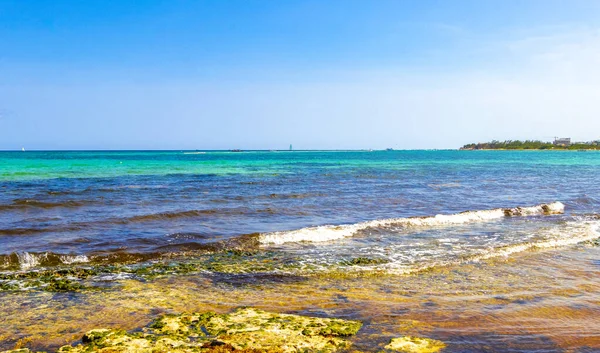 Бирюзово Зеленая Голубая Вода Камнями Скалы Кораллы Пляже Playa Del — стоковое фото