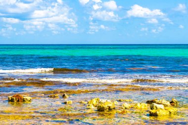 Turquoise green blue water with stones rocks corals at beach in Playa del Carmen Quintana Roo Mexico.