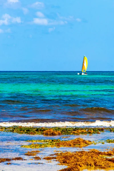 Jacht Żaglowiec Prom Pomost Pomost Port Tropikalnym Meksyku Widok Plażę — Zdjęcie stockowe