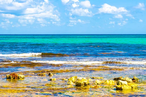 Turquoise Green Blue Water Stones Rocks Corals Beach Playa Del — Foto de Stock