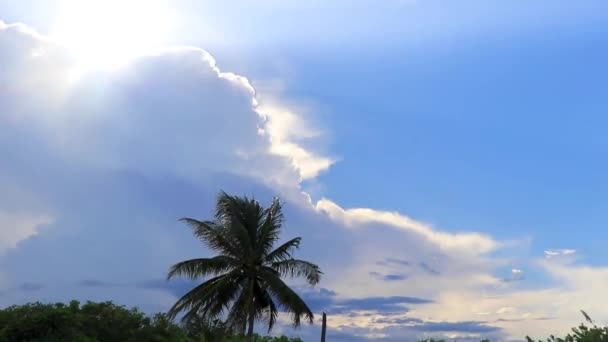 Playa Del Carmen Quintana Roo Meksika Bulutların Ardından Gökyüzü Masmavi — Stok video