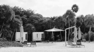 Playa del Carmen Meksika 'daki tropik Meksika plajındaki sahil otelindeki şemsiyeler ve güneş panzeleri..