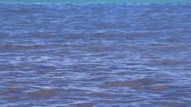 Playa del Carmen Meksika 'da berrak turkuaz mavi sularla tropikal Meksika sahili manzarası ve Karayip denizinde dalgalar.