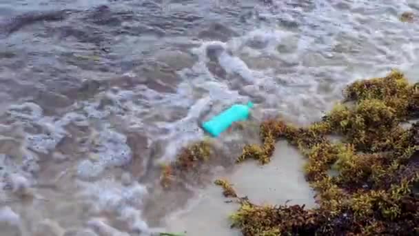 墨西哥普拉亚德尔卡门的热带墨西哥海滩上 大量的红色 非常恶心的海藻 沙加佐和垃圾污染环境 — 图库视频影像