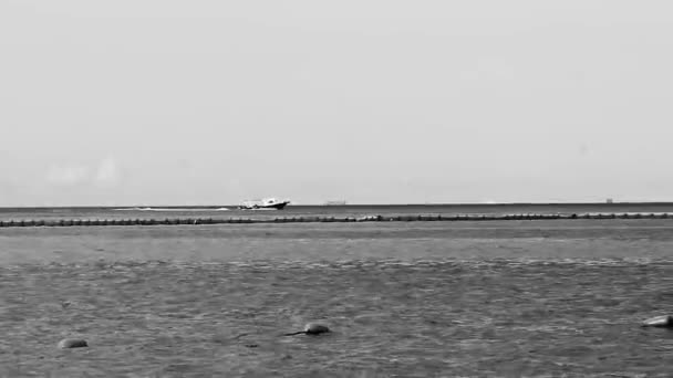 Łódź Jacht Prom Pomost Pomost Port Tropikalnym Meksyku Widok Plażę — Wideo stockowe