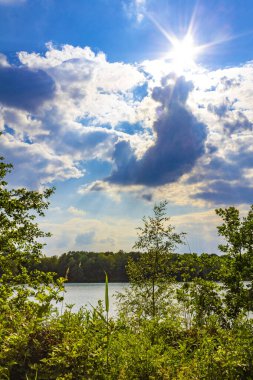 Yeşil turkuaz ve mavi renkli güzel göl suyu nehri Wiefelstede Ammerland Aşağı Saksonya Almanya 'sında ormanlı doğa ormanlarında.