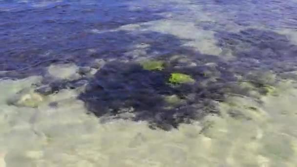 멕시코의 플라야델 카르멘 킨타나 해변에 청록색 푸른색 의물에 — 비디오