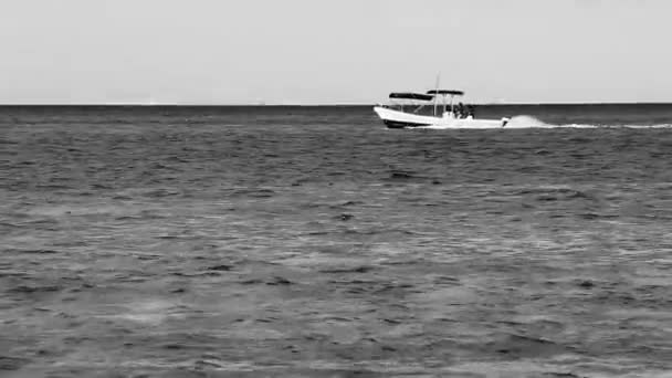 Boot Jacht Schip Veerboot Steiger Haven Het Tropische Mexicaanse Strand — Stockvideo