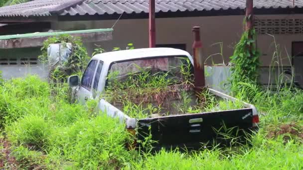 東南アジアのプーケット島のSakhu Thalangの茂みで腐敗した廃棄物の車の残骸 — ストック動画