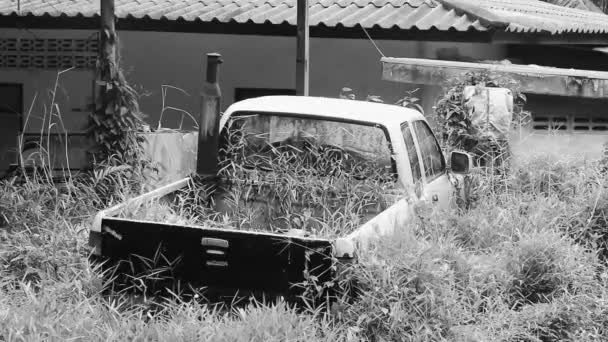 Σκουπίδια Αυτοκίνητα Ναυάγια Σαπίζουν Στους Θάμνους Στο Sakhu Thalang Στο — Αρχείο Βίντεο