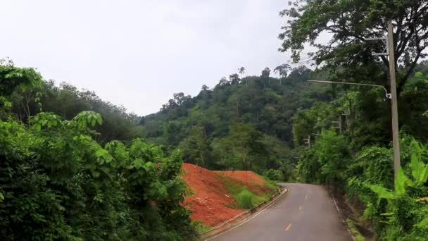 Natuurlandschap Panorama Met Straatauto Het Bos Jungle Natuur Berg Sakuh — Stockvideo