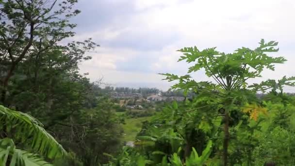Panorama Paisagem Natural Com Carros Rua Floresta Selva Natureza Montanha — Vídeo de Stock