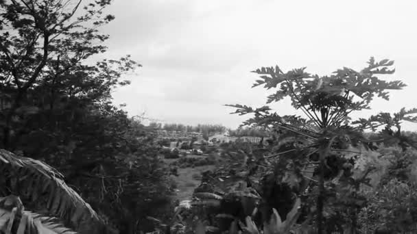 Natuurlandschap Panorama Met Straatauto Het Bos Jungle Natuur Berg Sakuh — Stockvideo