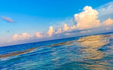 Akşamları Karayip sahillerinde güzel bir gün batımı. Playa del Carmen Quintana Roo Meksika 'da turkuaz mavi sularla..