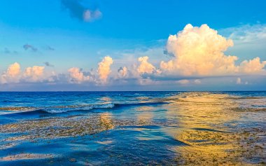 Beautiful sunset in the evening on the caribbean beach sea and coast with turquoise blue water in Playa del Carmen Quintana Roo Mexico. clipart