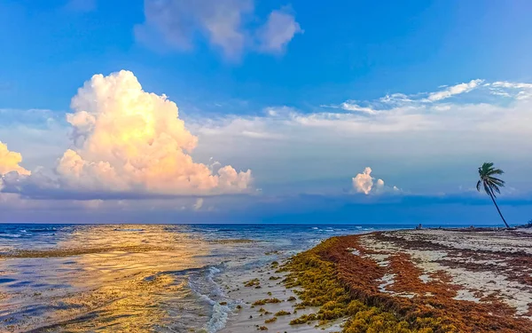 Beautiful Sunset Evening Caribbean Beach Sea Coast Turquoise Blue Water — Stock Photo, Image
