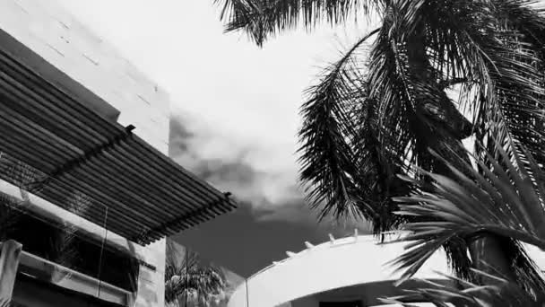 Playa Del Carmen Quintana Roo Mexico Září 2022 Typická Ulice — Stock video