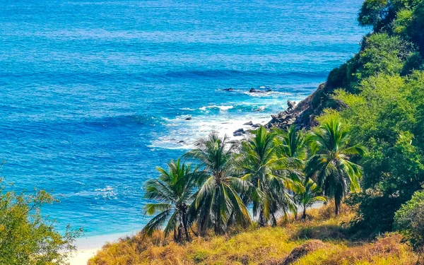 墨西哥巴科托埃斯坎多瓦哈卡港海滩上美丽的岩石 高山棕榈树 巨浪和自然景观 — 图库照片