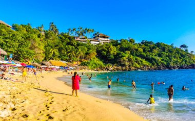 Puerto Escondido Oaxaca Meksika 14. Kasım 2022 Sahil Kum Turkuvaz Mavi Su Kayalıkları Kayalar Güneş Kayaları Palmiye ağaçları ve Playa Carrizalillo sahilinde büyük sörfçü dalgaları Puerto Escondido Oaxaca Meksika.