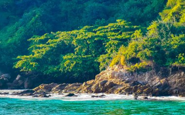 Kumsal turkuvaz mavi su kayaları kayalar kayalar güneş kayaları palmiye ağaçları ve Puerto Escondido Oaxaca 'daki Playa Carrizalillo sahilinde büyük sörfçü dalgaları..