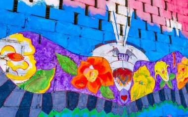 Puerto Escondido Oaxaca Meksika 16. Rinconada Bacocho Puerto Escondido Oaxaca Meksika 'da renkli grafiti resimleri ve güzel tablolarla dolu Ocak 2023 Duvarı.