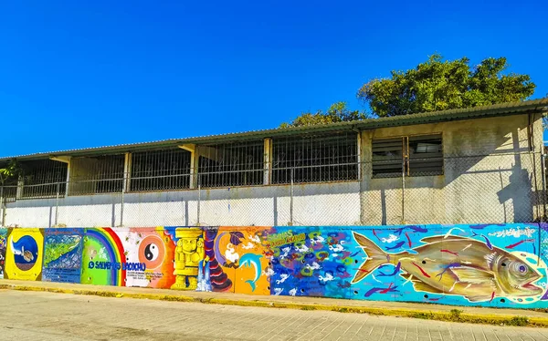 Puerto Escondido Oaxaca Meksika 16. Rinconada Bacocho Puerto Escondido Oaxaca Meksika 'da renkli grafiti resimleri ve güzel tablolarla dolu Ocak 2023 Duvarı.