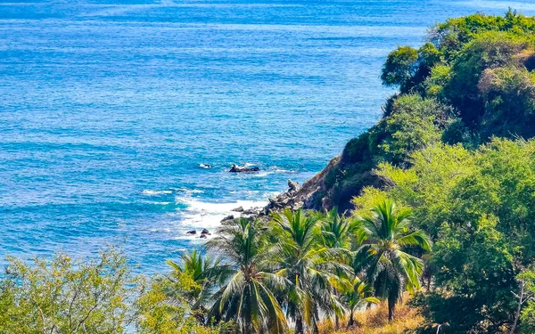 Güzel Kayalıklar Kayalar Kayalar Dağlar Palmiye Ağaçları Büyük Sörfçü Dalgaları — Stok fotoğraf