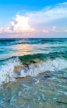 Tropical caribbean beach landscape panorama with clear turquoise blue water in Playa del Carmen Mexico.