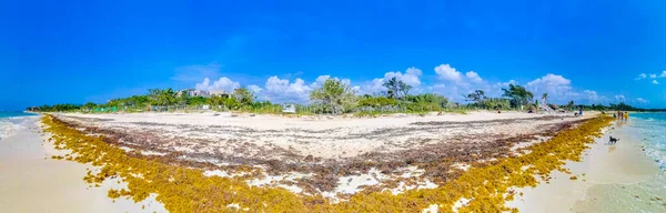 Playa Del Carmenキンタナ ルーメキシコ22 2021年4月プラヤ カルメンの青い水の人々のリゾートホテルやヤシの木と熱帯メキシコのカリブ海のビーチの風景のパノラマメキシコ — ストック写真