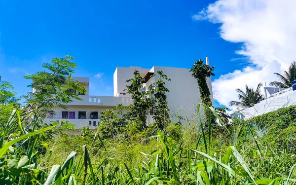 Hotel Resort Apartments Building Tropical Nature Jungle Playa Del Carmen — Foto de Stock