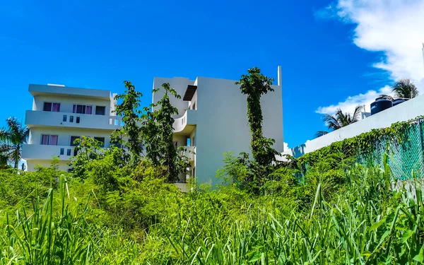 Hotel Resort Appartamenti Edificio Dietro Giungla Natura Tropicale Playa Del — Foto Stock