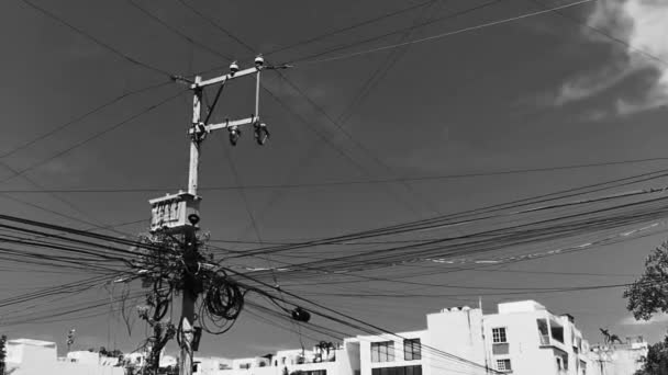Absolute Cable Chaos Thai Power Pole Playa Del Carmen Quintana — Stock video