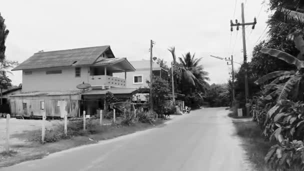 Schwarz Weiß Video Von Landschaft Und Stadtbild Panorama Mit Straßenautos — Stockvideo