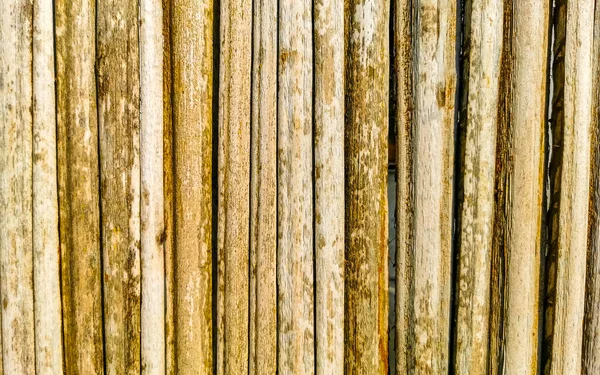 Стена Бамбукового Дерева Текстура Гейт Зикателе Пуэрто Эскондидо Оахака Мексика — стоковое фото