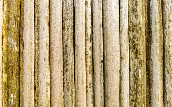 Bamboo Wood Wall Gate Texture Zicatela Puerto Escondido Oaxaca Mexico — Stock Photo, Image