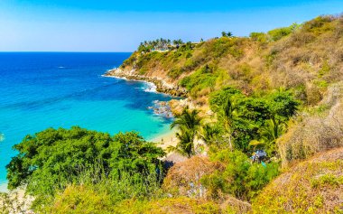 Kumsal turkuvaz mavi su kayaları kaya kayaları palmiye ağaçları büyük sörfçü dalgaları ve Puerto Escondido Oaxaca 'daki Playa Carrizalillo plajı manzarası.