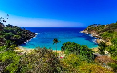 Kumsal turkuvaz mavi su kayaları kaya kayaları palmiye ağaçları büyük sörfçü dalgaları ve Puerto Escondido Oaxaca 'daki Playa Carrizalillo plajı manzarası.