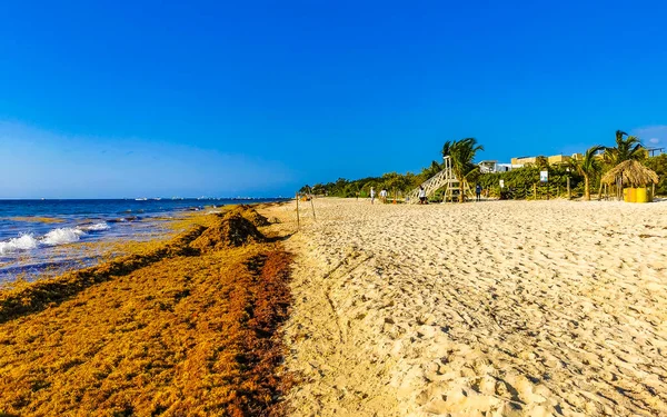 Playa Del Carmen Quintana Roo Mexico Marzo 2023 Bella Spiaggia — Foto Stock