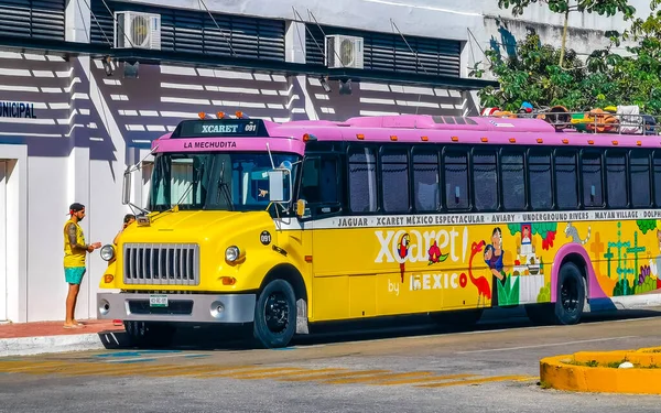 Playa Del Carmen Quintana Roo Mexico 2023年5月プラヤデルカルメンキンタナのカラフルなピンクの黄色の緑の赤のメキシコのXcaertバス Roo Mexico — ストック写真