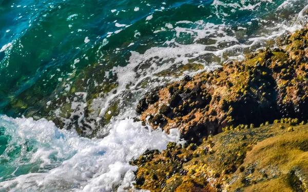 Blue Turquoise Water Extremely Beautiful Huge Big Surfer Waves Rocks — Stock Photo, Image