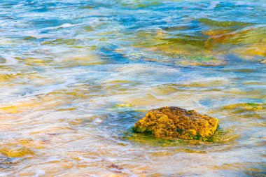 Playa del Carmen Quintana Roo Meksika sahilindeki turkuaz yeşil ve mavi sularda kayalar ve mercanlar..