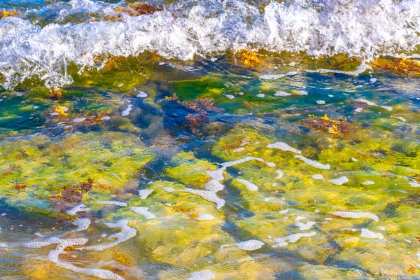 멕시코의 플라야델 카르멘 킨타나 해변에 청록색 푸른색 의물에 — 스톡 사진