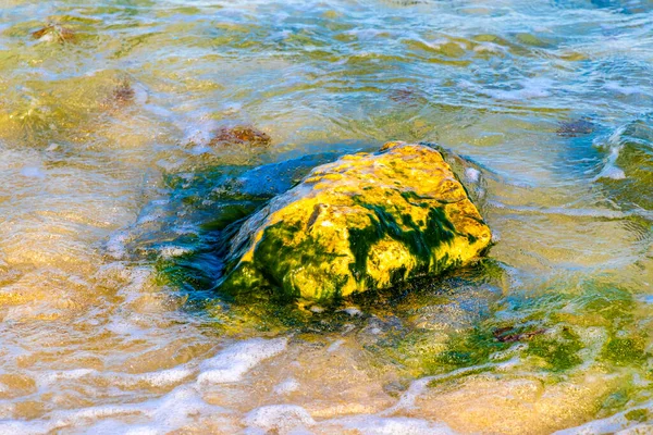 金塔纳罗奥岛海滩绿水蓝水中的岩石和珊瑚 — 图库照片