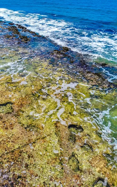 Камни Кораллы Бирюзово Зеленой Голубой Воде Пляже Плайя Дель Кармен — стоковое фото